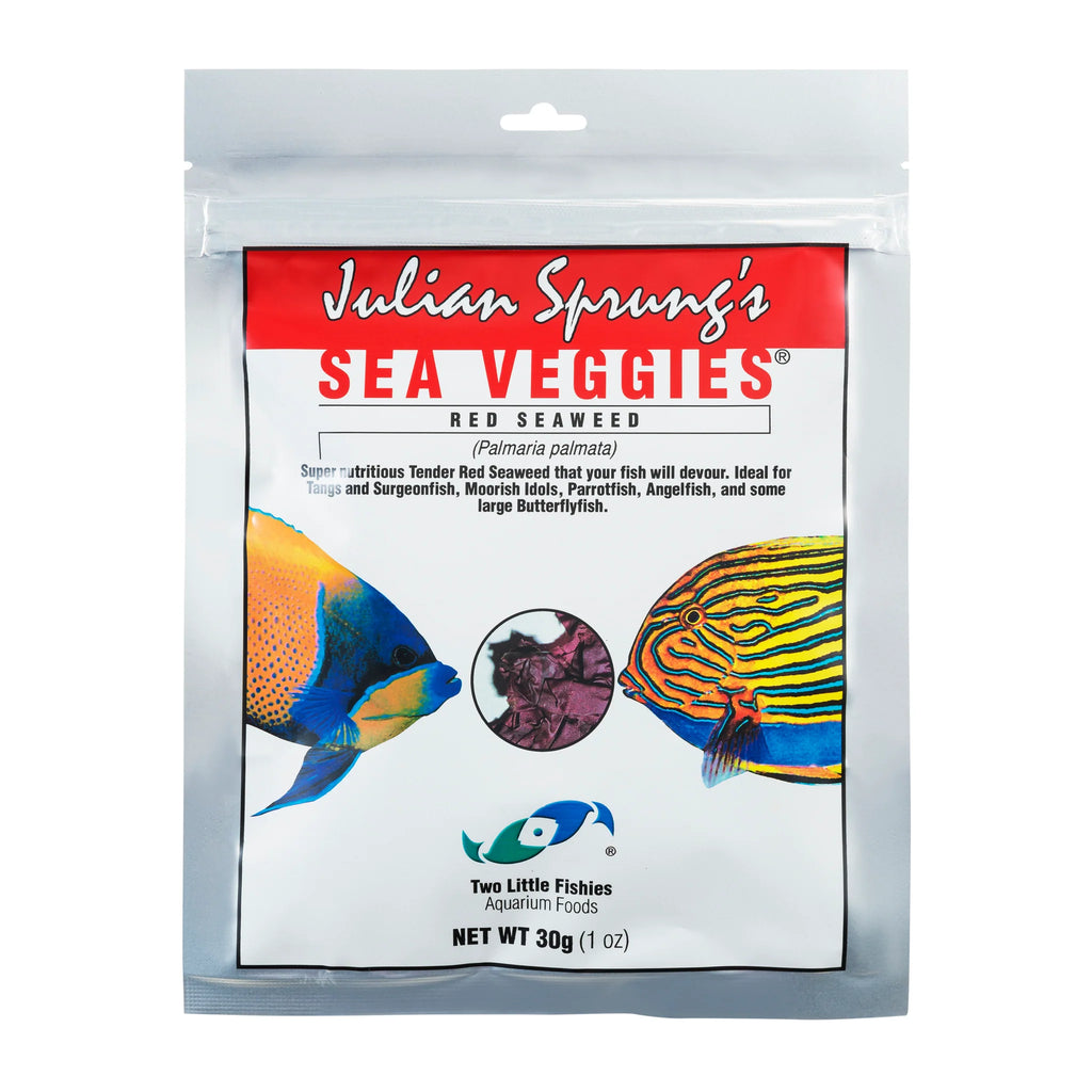 Julian Spring's Red Seaweed